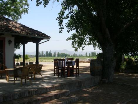 1326469649631-DSCN3684_tio_liviana.jpg