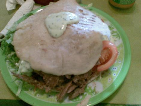 20090511_002_Doner_Kabab.jpg