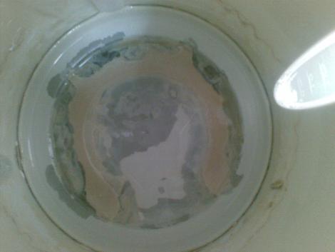 20100724_018_.jpg