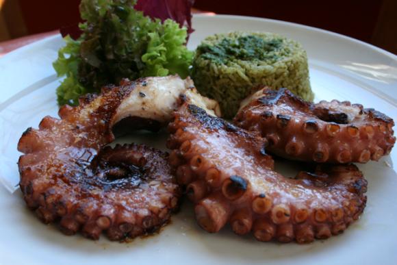 6_pulpo-rsn.jpg