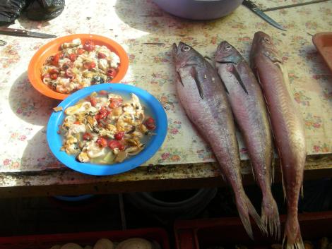 Agosto_01_sept_chillan_cauquenes_3_2010_varias_175.jpg