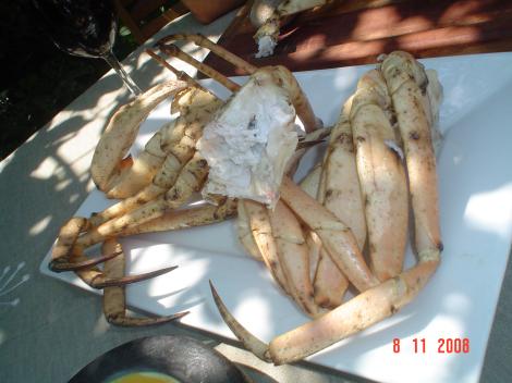 DSC07970.jpg