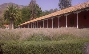IMG00384-20110220-1611.jpg