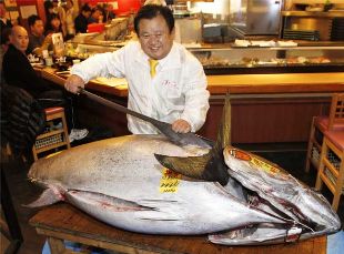 bluefin-tuna-sells-for-record-1-76-million-in-tokyo.jpg