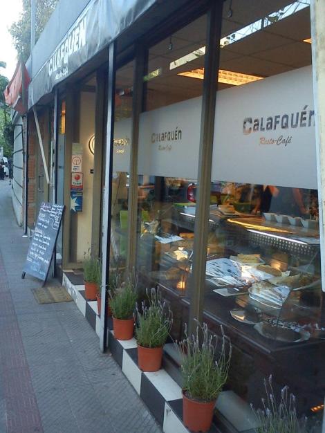 calafquen_foto.jpg