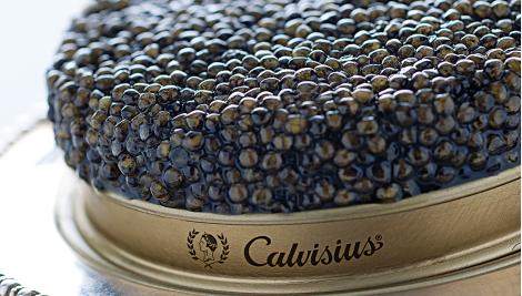 calvisius-sevruga.jpg