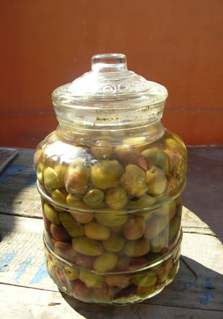 frasco_listas.JPG
