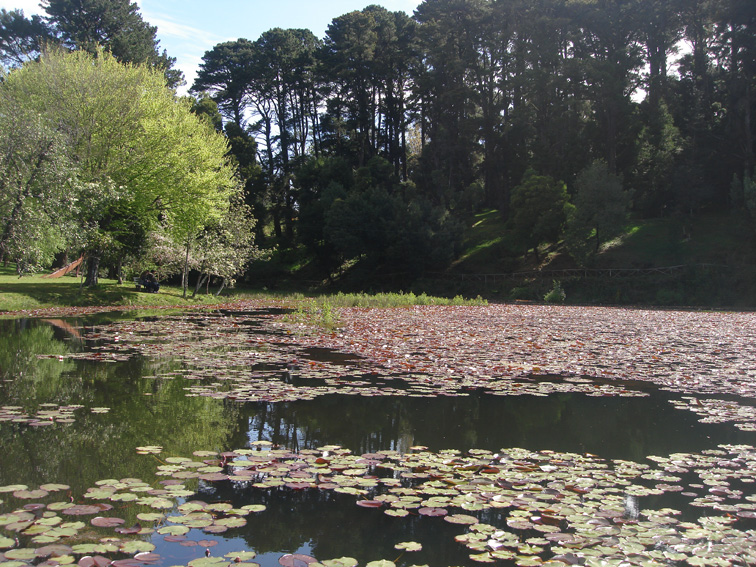 parque1.jpg