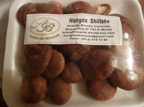 shiitake_P1040538.jpg