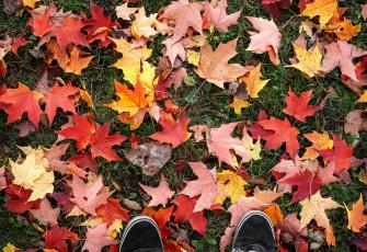 Otoño