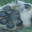 Imagen de daniela gd