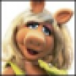 Imagen de bernie