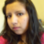 Imagen de diana