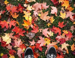 Otoño